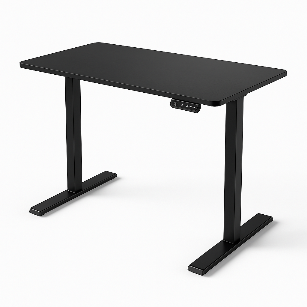 ErGear 48" × 24" Height-Adjustable Electric Standing Desk